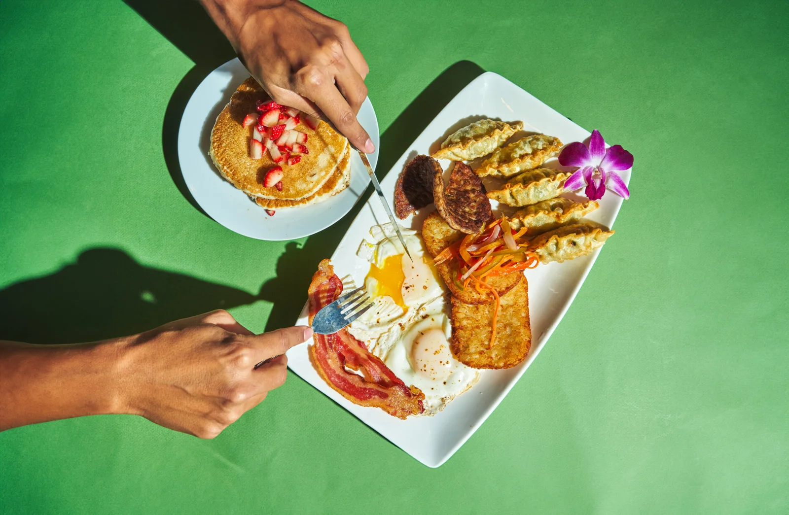 Wraptor Restaurant & Bar restaurant